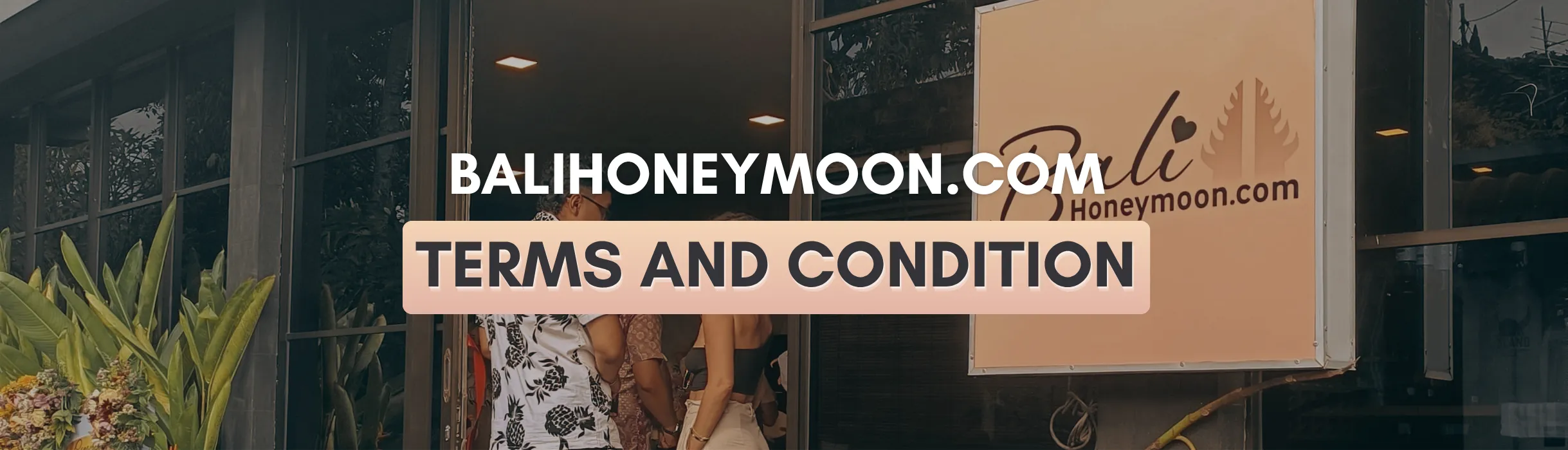 Terms and Conditions