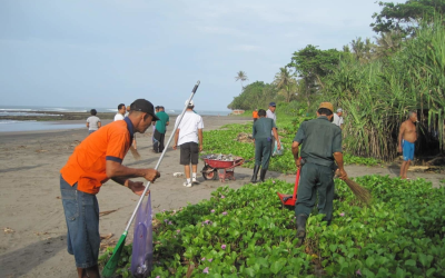 The resort is both ecologically as well as socially conscious.