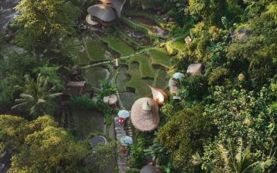 Bambu Indah Resort grows their own rice and vegetables.