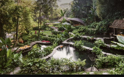 Natural spring-fed pools can be found all over the resort.