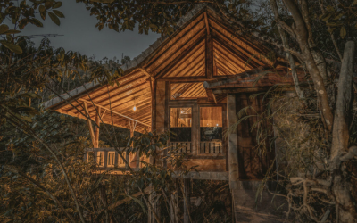 Modest wooden cabins tucked away in the Munduk highlands.