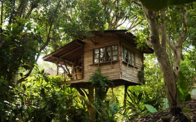 This resort has real tree houses, actually built around trees. Careful on the stairs!